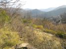 Vente Terrain Vigan 30120 2845 m2