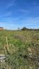 Vente Terrain Jallaucourt  57590 1919 m2