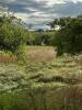 Vente Terrain Moncel-sur-seille 54280 1279 m2