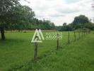 Vente Terrain Chamery 51500 671 m2