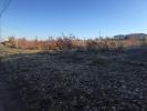 Vente Terrain Cenac-et-saint-julien 24250 3499 m2
