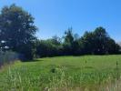 Vente Terrain Montipouret 36230 2000 m2