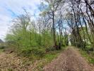 Vente Domaine forestier Cuzion 36190 6250 m2