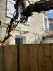 Vente Maison Niort 79000 3 pieces 95 m2