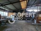 Vente Commerce Aixe-sur-vienne  87700 1400 m2