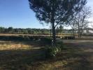 Vente Terrain Landiras 33720 950 m2