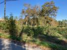 Vente Terrain Quinsac 33360 800 m2