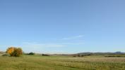 Vente Terrain Verzenay 51360 712 m2