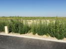 Vente Terrain Gueux 51390 629 m2