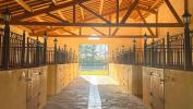 Vente Prestige Montpellier 34000 9 pieces 300 m2