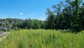 Vente Terrain Brunstatt 68350 537 m2