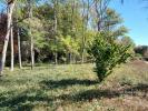 Vente Terrain Louchats 33125 860 m2