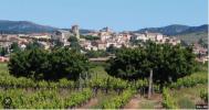 Vente Terrain Caromb 84330