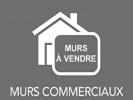 Vente Local commercial Blois  41000 5 pieces 170 m2