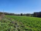 Vente Terrain Mezieres-sous-lavardin  72240 4535 m2