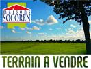 Vente Terrain Vigneux-de-bretagne  44360 501 m2