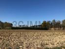 Vente Terrain Momuy 40700
