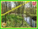 Vente Terrain Augy-sur-aubois GERMIGNY-L'EXEMPT 18600 3790 m2