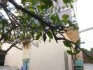 Vente Maison Perpignan 66000