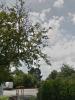 Vente Maison Guemene-penfao 44290 6 pieces 204 m2