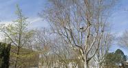 Vente Appartement Poissy 78300 2 pieces 46 m2