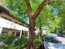 Vente Bureau Sainte-clotilde 97490 489 m2