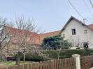 Vente Maison Dalhunden 67770