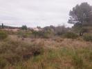 Vente Terrain Pignan  34570 338 m2