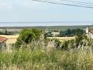 Vente Maison Saint-fort-sur-gironde 17240