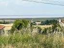 Vente Maison Saint-fort-sur-gironde  17240