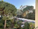 Vente Appartement Cannes  06400 3 pieces 64 m2