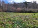 Vente Terrain Thiers 63300 2920 m2