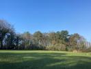 Vente Terrain Camors 56330 12500 m2