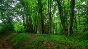 Vente Terrain Beaumont-le-roger 27170