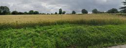 Vente Terrain Saint-benoit-d'hebertot 14130 800 m2