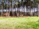 Vente Terrain Saint-symphorien 33113