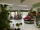 Vente Local commercial Sens 89100 1000 m2