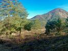 Vente Terrain Savoillan 84390