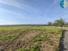 Vente Terrain Beignon 56380