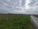 Vente Maison Saint-christoly-medoc 33340