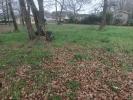 Vente Terrain Saint-sauveur 33250