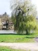 Vente Maison Port-sur-saone 70170 11 pieces 380 m2