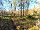 Vente Terrain Saint-vallier-de-thiey 06460