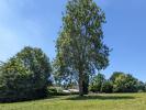Vente Terrain Beignon 56380
