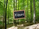 Vente Terrain Maleville 12350 32767 m2