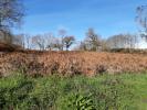 Vente Terrain Landudec 29710 2492 m2