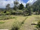 Vente Terrain Plaine-des-palmistes 97431 1200 m2