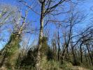 Vente Terrain Viella 32400 9969 m2