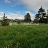 Vente Terrain Cordelle 42123 1012 m2