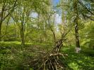 Vente Terrain Hallivillers 80250